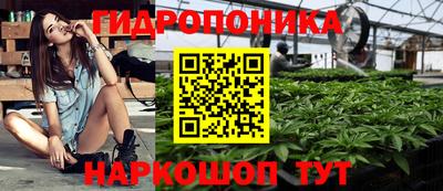 хмурый Новозыбков