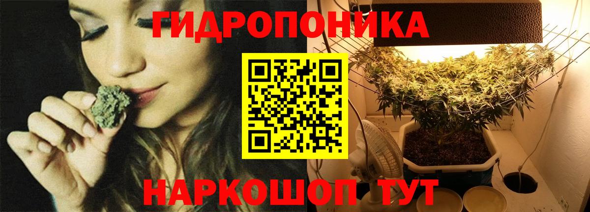 МАРИХУАНА план  МАРИХУАНА Bruce Banner  Конопля семена  МАРИХУАНА Bruce Banner  Семилуки  Вход с VPN 